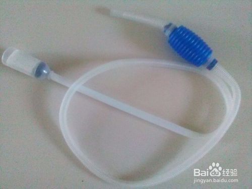 野生魚缸里的魚糞怎么清理：清理野生魚缸里的魚糞 野生魚缸里的魚糞怎么清理：清理野生魚缸里的魚糞 魚缸百科 第2張