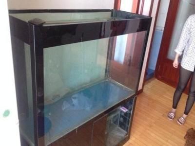 底濾魚缸的幾種改造方法：底濾魚缸如何改造