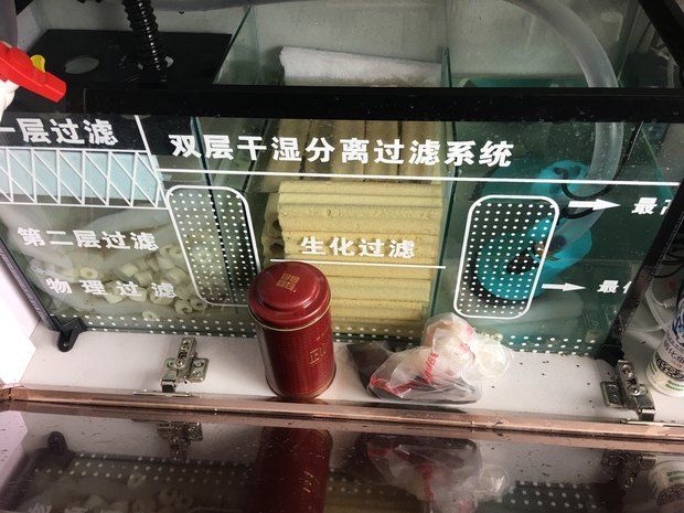 底濾魚缸濾材擺放注意事項底濾魚缸濾材擺放注意事項：底濾魚缸濾材擺放指南 底濾魚缸濾材擺放注意事項底濾魚缸濾材擺放注意事項：底濾魚缸濾材擺放指南 魚缸百科 第3張
