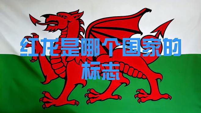還有哪些國家或地區(qū)使用紅龍旗？ 還有哪些國家或地區(qū)使用紅龍旗？ 龍魚百科 第1張