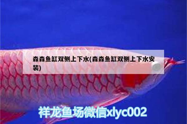 舟山市<strong><mark>普陀</mark></strong>沈家門藍世界水族館（舟山沈家門海洋生物園）