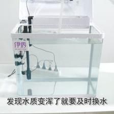 魚(yú)缸清潔的科學(xué)方法：換水后魚(yú)缸出現(xiàn)菌絲怎么辦？