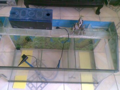 魚缸過濾器的選購指南：寵物魚缸過濾器安裝過濾器安裝過濾器的步驟和注意事項(xiàng)