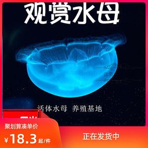 海鹽在魚缸中的應用主要體現在水質調節和消毒殺菌上的鹽度：如何正確使用海鹽開缸？
