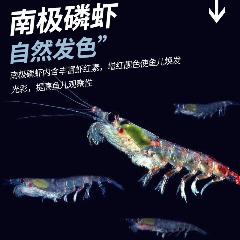 龍魚魚食 小魚小蝦：如何挑選適合龍魚的活餌，龍魚飼料中營養(yǎng)成分解析