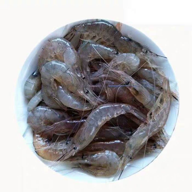 龍魚魚食 小魚小蝦：如何挑選適合龍魚的活餌，龍魚飼料中營養(yǎng)成分解析