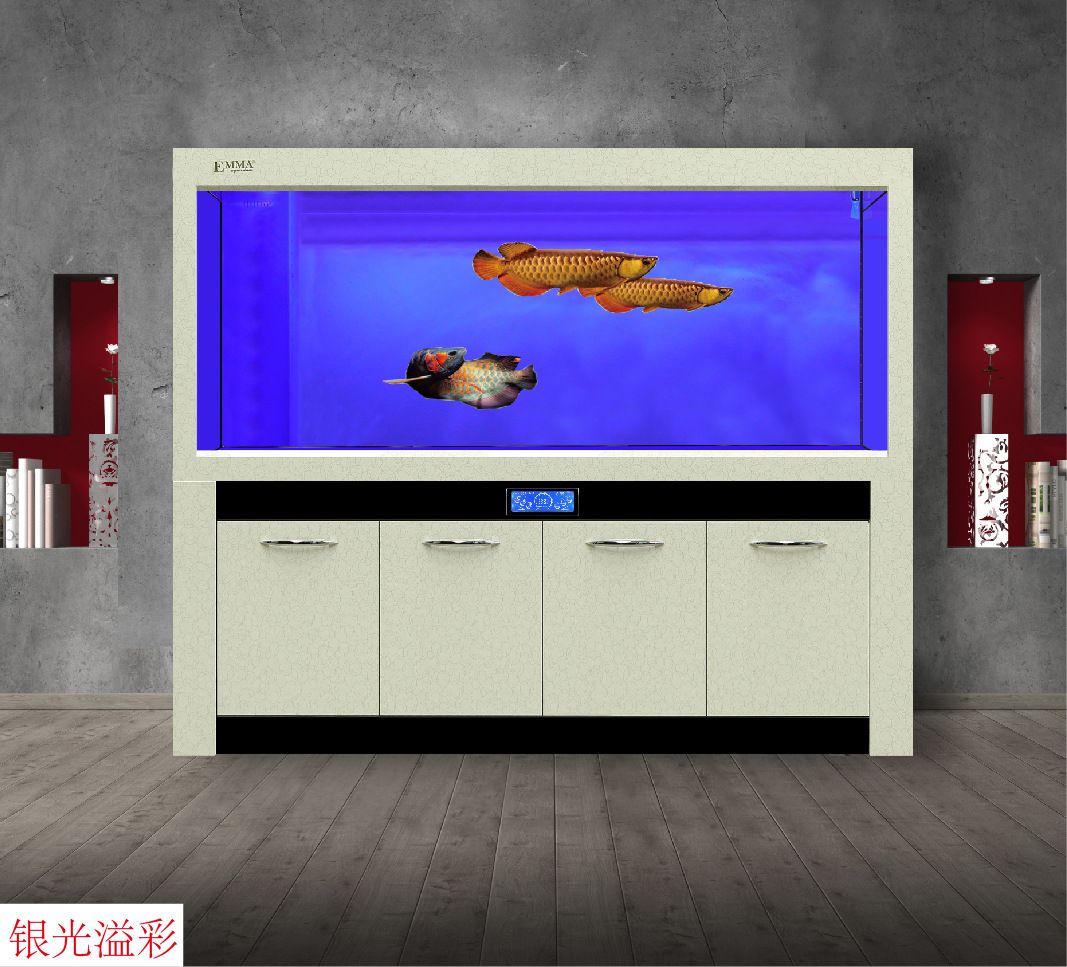 高端魚缸有哪些牌子的：高端魚缸品牌iso9001質量管理體系認證 高端魚缸有哪些牌子的：高端魚缸品牌iso9001質量管理體系認證 魚缸百科 第4張