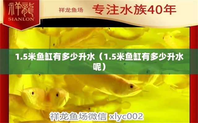 <strong><mark>海港</mark></strong>區漁趣觀賞魚店
