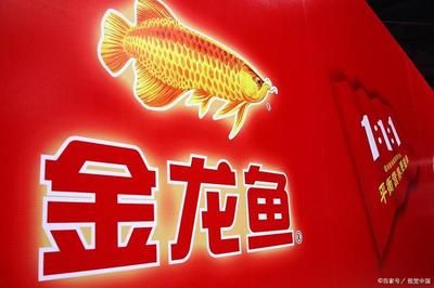 金龍魚外資怎么也能上市（金龍魚為什么能在中國資本市場上市？）
