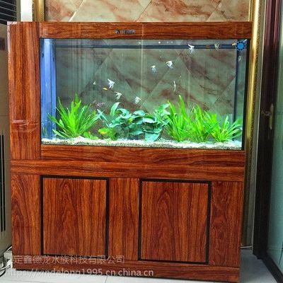 質量好的魚缸(小米智能魚缸哪個牌子好) 魚缸百科 第1張 質量好的魚缸(小米智能魚缸哪個牌子好) 質量好的魚缸(小米智能魚缸哪個牌子好) 魚缸百科 第1張