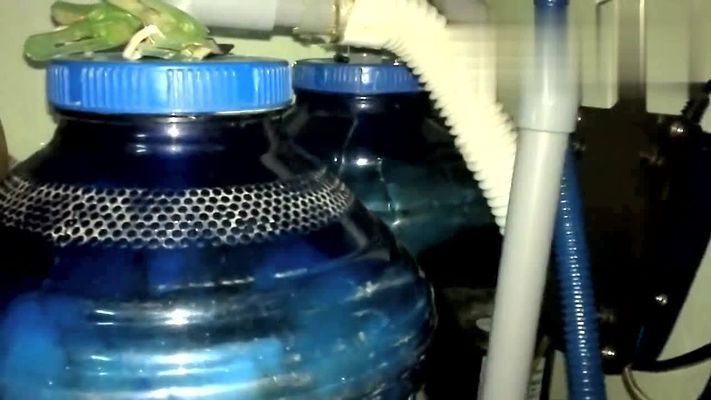 龍魚魚缸過濾系統圖解說明怎么寫（龍魚魚缸的過濾系統圖解） 龍魚魚缸過濾系統圖解說明怎么寫（龍魚魚缸的過濾系統圖解） 龍魚百科 第3張