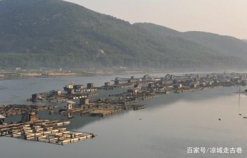 墨魚可以用魚缸養嗎：墨魚養殖的市場前景如何，墨魚繁殖的最佳季節是什么時候