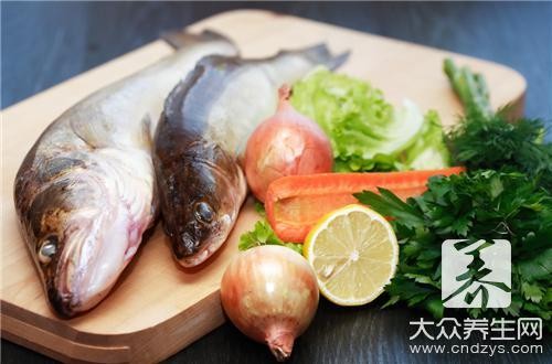 銀龍魚雌雄大小