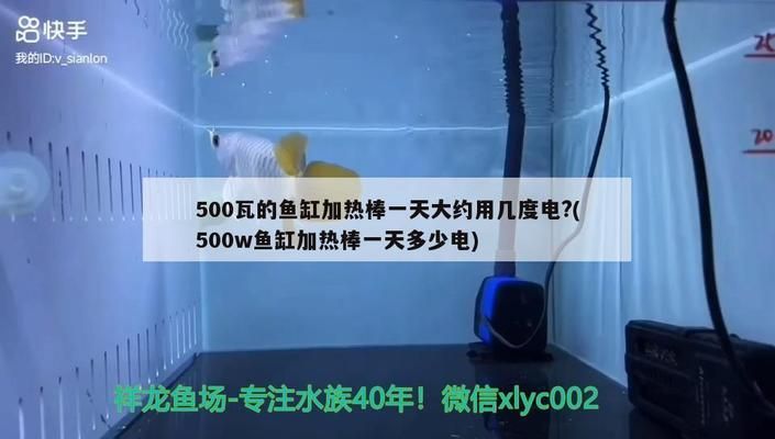 祥龍電器魚缸時間設置怎么調整：如何重置祥龍魚缸定時器