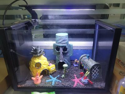 森森魚缸養魚視頻：森森魚缸養魚視頻展示