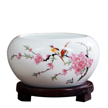 廣州市蘿崗區青年路肉菜市場樺茲慧水族店