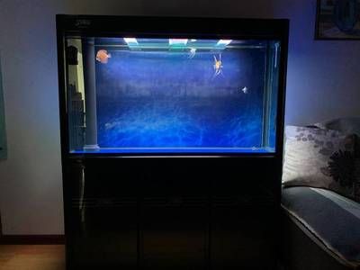 森森魚缸怎么拆分搬運（拆分搬運森森魚缸是一項細致的工作需要遵循一定的步驟）