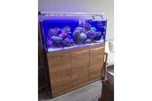 觀景魚缸的養(yǎng)護(hù)方法視頻（養(yǎng)魚新手入門指南，） 觀景魚缸的養(yǎng)護(hù)方法視頻（養(yǎng)魚新手入門指南，） 魚缸百科 第1張
