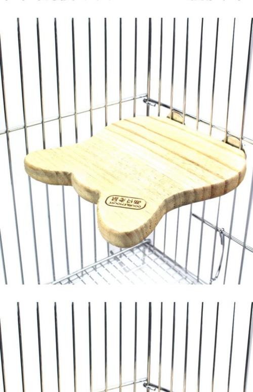 龍貓有哪些玩具可以玩？