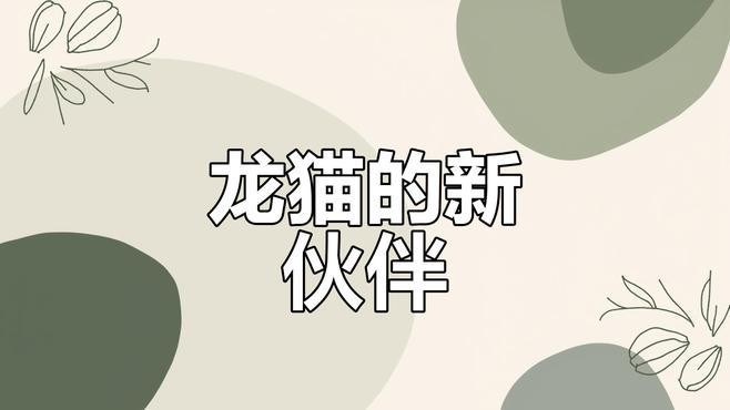 龍貓有哪些玩具可以玩？