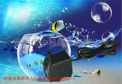 廣州魚缸定做的設計流程：如何選擇魚缸定做廠家 廣州魚缸定做的設計流程：如何選擇魚缸定做廠家 魚缸百科 第1張