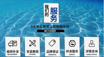 廣州魚缸定做的設計流程：如何選擇魚缸定做廠家 廣州魚缸定做的設計流程：如何選擇魚缸定做廠家 魚缸百科 第4張