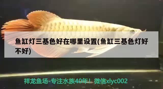 廣州市番禺區橋南街順威水族器材店