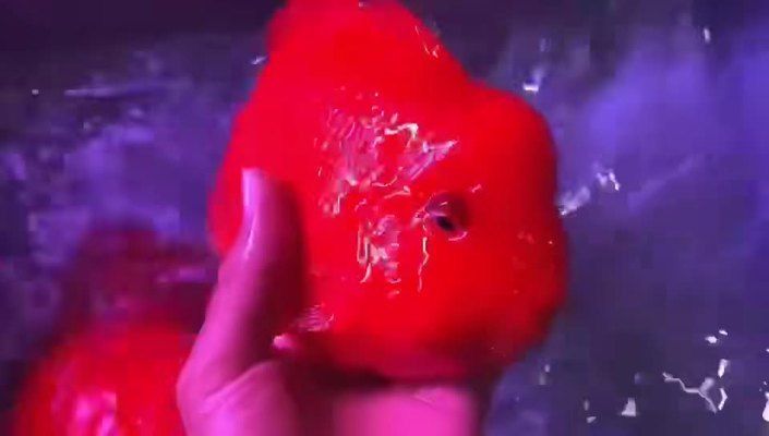 紅龍魚變白什么原因啊怎么治療：關(guān)于紅龍魚變白的問(wèn)題