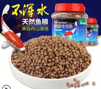 晉中龍魚魚缸，打造水族藝術的精致空間