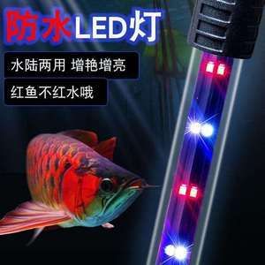 紅色魚缸燈多少錢一套（紅色魚缸燈價格）
