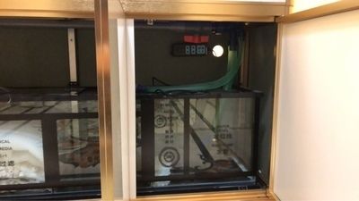 漢霸魚缸說明書電子版：漢霸魚缸使用方法和注意事項