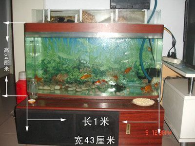 <strong><mark>鹿邑</mark></strong>縣自力漁具店