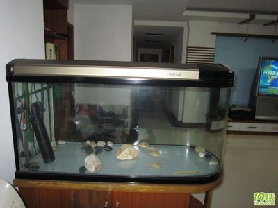 呼市二手魚缸轉(zhuǎn)讓（呼市想要轉(zhuǎn)讓二手魚缸賣家可以通過多種途徑發(fā)布信息）
