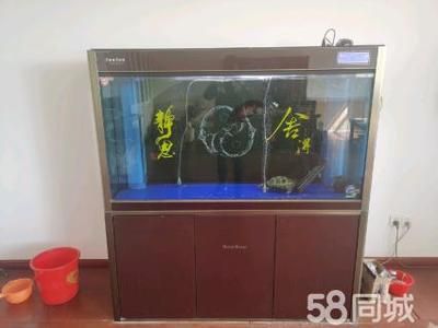 呼市二手魚缸轉(zhuǎn)讓（呼市想要轉(zhuǎn)讓二手魚缸賣家可以通過多種途徑發(fā)布信息）