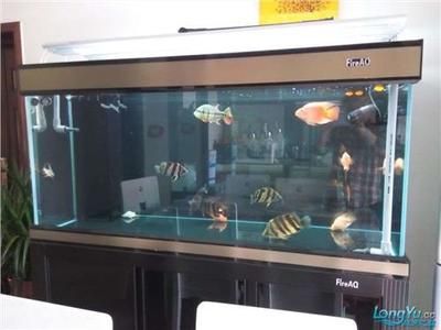 如何調(diào)節(jié)刀魚缸內(nèi)pH值：如何調(diào)節(jié)刀魚缸ph值