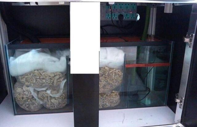 如何調(diào)節(jié)刀魚(yú)缸內(nèi)pH值：如何調(diào)節(jié)刀魚(yú)缸ph值