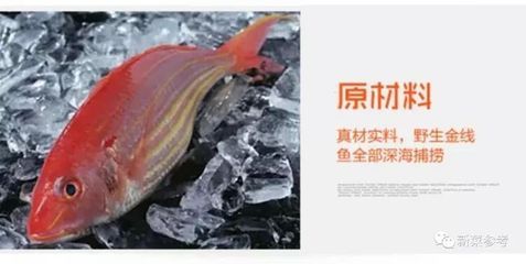 龍魚的金線（龍魚頭頂?shù)慕鹁€是如何形成的，龍魚頭頂金線是如何形成的）