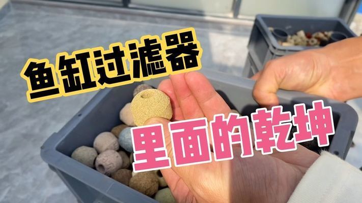 魚缸過濾系統怎么配置：自制魚缸過濾器成本分析