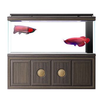漢霸魚(yú)缸是哪里生產(chǎn)的：漢霸魚(yú)是哪里產(chǎn)的 漢霸魚(yú)缸是哪里生產(chǎn)的：漢霸魚(yú)是哪里產(chǎn)的 魚(yú)缸百科 第4張
