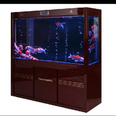 可麗愛魚缸咋樣（可麗愛魚缸外觀設(shè)計(jì)由業(yè)界精英與國(guó)外設(shè)計(jì)團(tuán)隊(duì)共同研發(fā)）