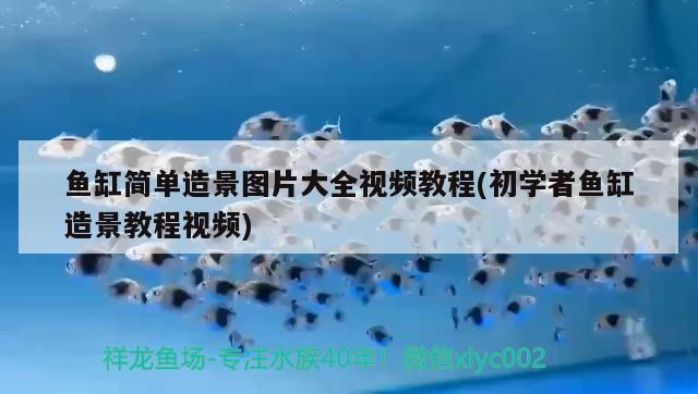 相城區元和藍禹水族用品店 全國水族館企業名錄 第3張 相城區元和藍禹水族用品店 相城區元和藍禹水族用品店 全國水族館企業名錄 第3張