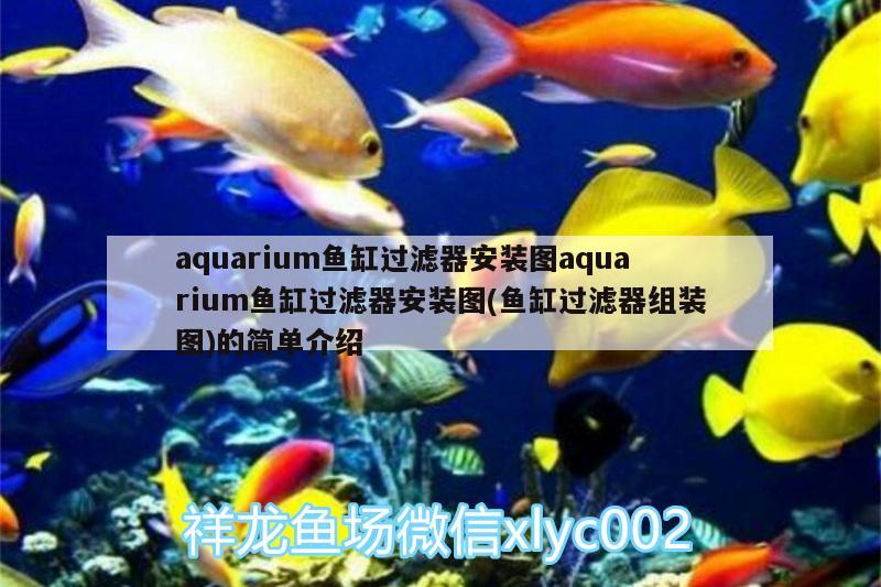佛山市南海區戲水水族店