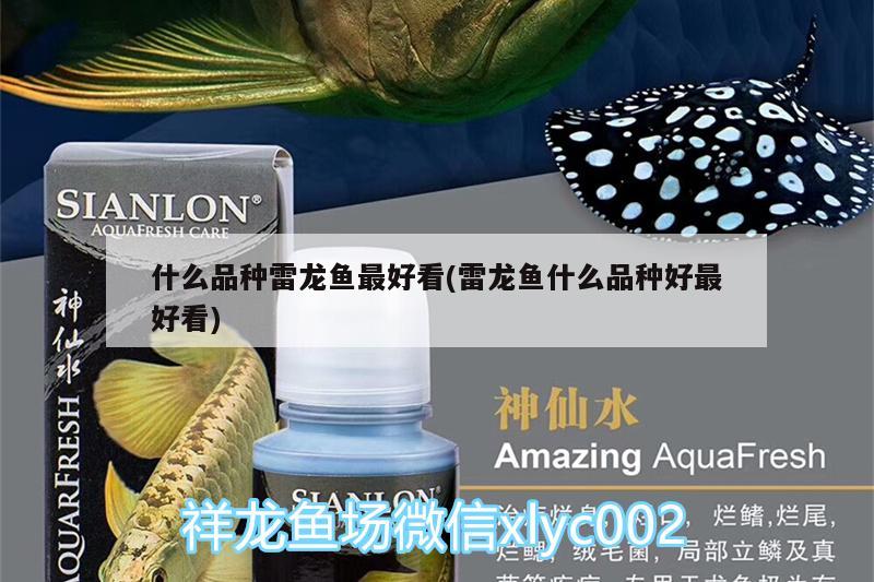 <strong><mark>佛山</mark></strong>市南海區(qū)戲水水族店