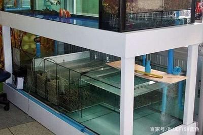 自制魚(yú)缸過(guò)濾器的創(chuàng)新設(shè)計(jì)自制魚(yú)缸過(guò)濾器的制作過(guò)程：底下養(yǎng)魚(yú)體驗(yàn)，制作魚(yú)缸水質(zhì)管理