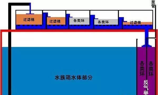 魚缸濾材怎么擺放教學視頻：魚缸濾材怎么擺放教學視頻詳情