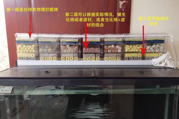 魚缸濾材怎么擺放教學視頻：魚缸濾材怎么擺放教學視頻詳情