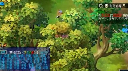 龍魚哪里有賣呀：網(wǎng)購龍魚平臺推薦