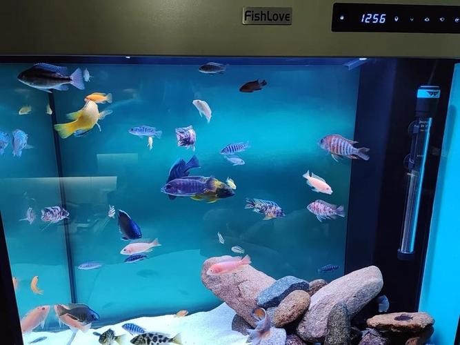 龍魚缸制作圖解