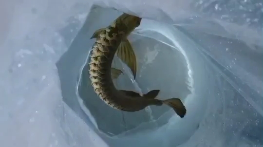 到店 到店 全國水族館企業名錄 第1張