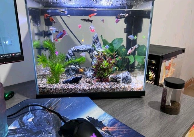 森森魚缸廠家聯系電話（森森魚缸全國售后電話）